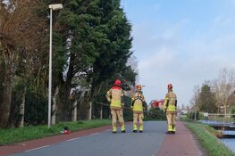 Boom door storm omgewaaid in Purmerland