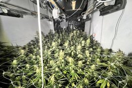 Burgemeester sluit drugswoning in Wheermolen