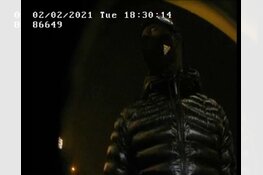 Gezocht: Wie herkent deze pinners?