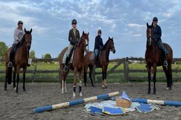 Purmerfeesten paard en picknick