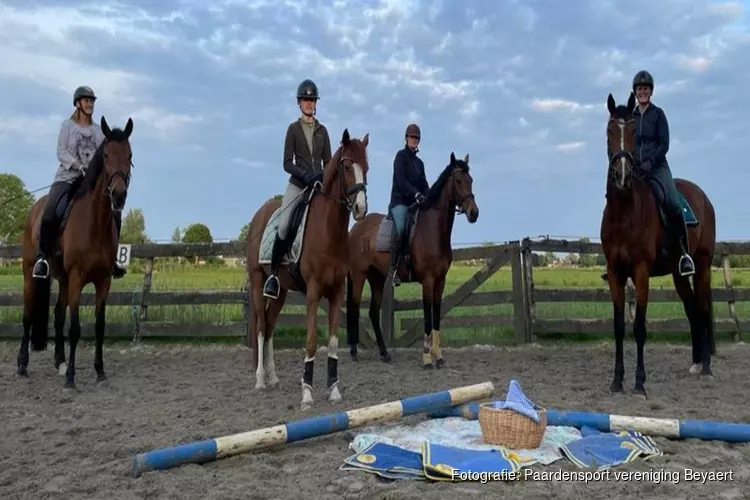 Purmerfeesten paard en picknick