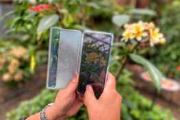 Workshop smartphone fotografie in Den Helder, Alkmaar en Uitgeest