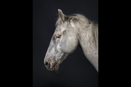 Old Love 9 september 2022 t/m 5 maart 2023