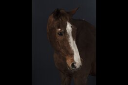 Old Love 9 september 2022 t/m 5 maart 2023