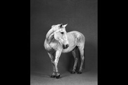 Old Love 9 september 2022 t/m 5 maart 2023