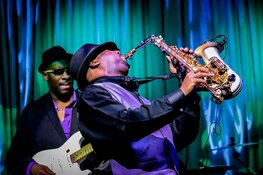 Jazz in het Museum – najaar 2022 Zondag matinees in het Purmerends Museum