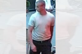 Herkenning gezocht na zware mishandeling