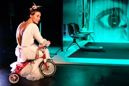 Door de Schaduw Heen van Dilan Yurdakul op 26.11.22