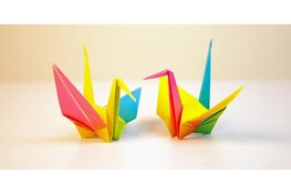 Japan 1900, Origami en theedrinken in Bibliotheek Beemster