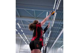 Zaterdag eerste wijkvolleybaltoernooi in Weidevenne