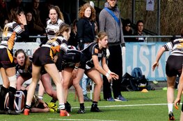 Winst voor RC Waterland heren en Blue Waves/Bassets dames