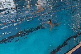 Zwem- en Waterpolovereniging "WZ&PC Purmerend" heeft dit weekend voor de eerste keer in dit millennium weer een scholentoernooi georganiseerd.