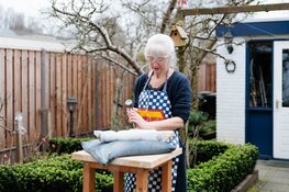 En taille directe - werken in steen