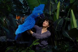 Kinderen van het verdwenen woud van Duda Paiva