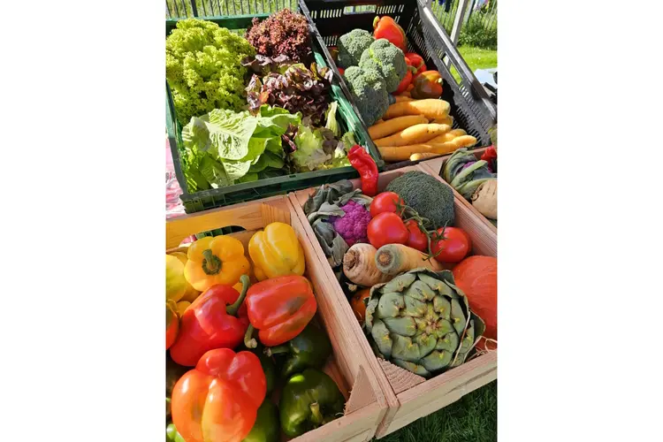 Spurd Senioren Fit & Voeding over belang van ijzer en vezels in voeding
