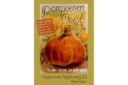 Pompoenenoogst evenement in de Beemster