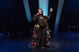 A vida rosa van Rosa da Silva op 18 november in De Verbeelding