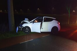 Auto tegen boom gereden in Noordbeemster, bestuurder gewond