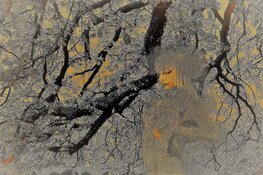 Fototentoonstelling IN THE PICTURE