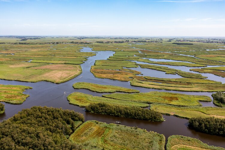 Aanvraag van 110 miljoen euro voor herstel Noord-Hollandse natuur