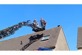 Kat van dak gehaald door brandweer (Purmerend)