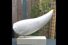 Kunst bij de VVV : Wieke Dekker