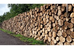 Vanaf september boswerkzaamheden in Purmerbos