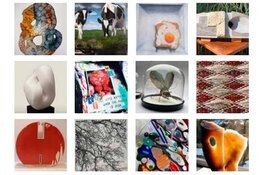 Kunstroute 2024 met overzichtsexpositie belooft veel variatie en inspiratie