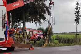 Paard te water in sloot Middenbeemster: brandweer anderhalf uur bezig