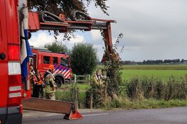Paard te water in sloot Middenbeemster: brandweer anderhalf uur bezig