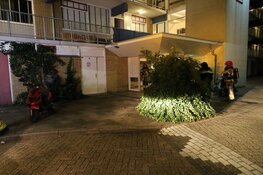 Weer brand in Purmerendse flat Anne Franklaan