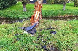 Auto tegen boom gereden in Noordbeemster