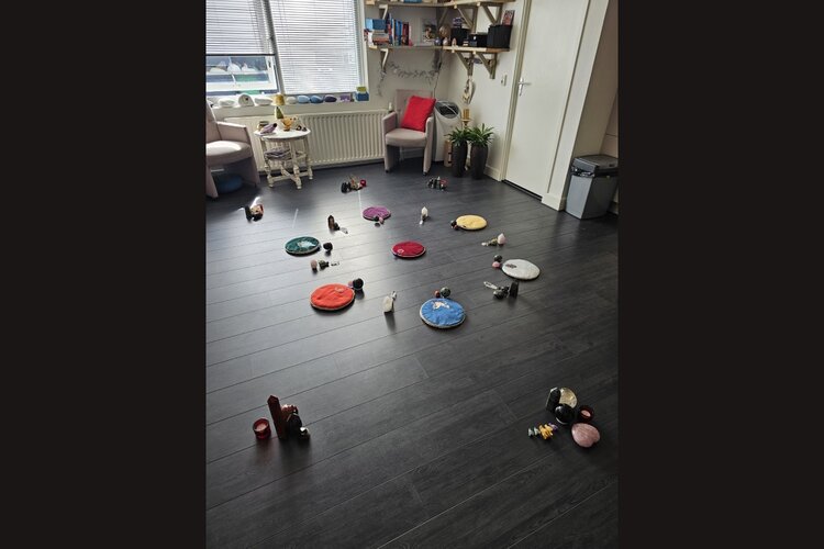 HET OPSTELINGSWIEL – het Quantum Leap opstellingswiel