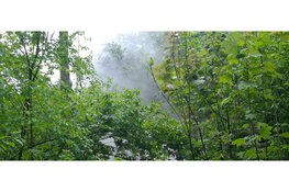 Scooter in brand op afgelegen plek in Purmerend