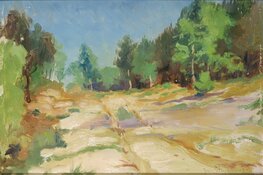 Tentoonstelling Jan Stapper. Schilder van het Hollandse landschap in het Purmerends Museum van 5 juni t/m 19 augustus
