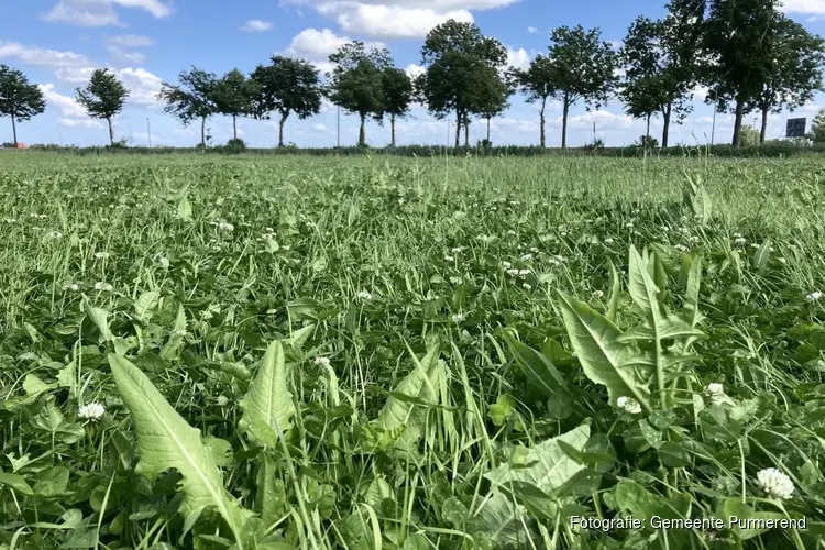 Gemeente Purmerend doet mee aan campagne voor bodemverbetering, biodiversiteit en kunstmestreductie