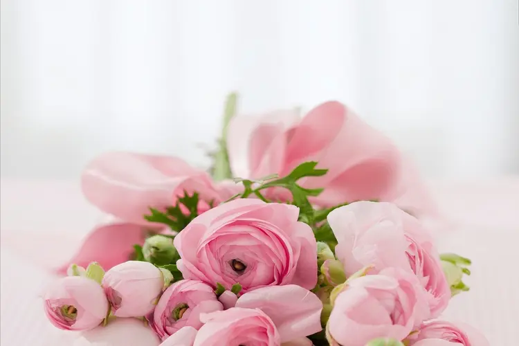 De soorten bloemen die je nodig hebt voor een bloemstuk