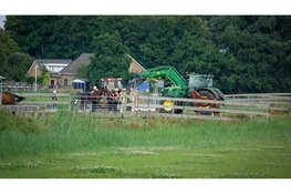 Paard uit water gered in Noordbeemster