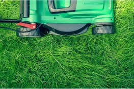 Waarom de juiste meststof én kwaliteit graszaad onmisbaar zijn voor een sterk gazon