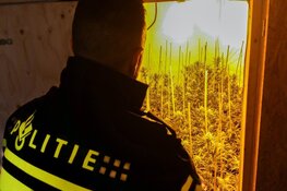 Hennepkwekerij in woning Purmerend