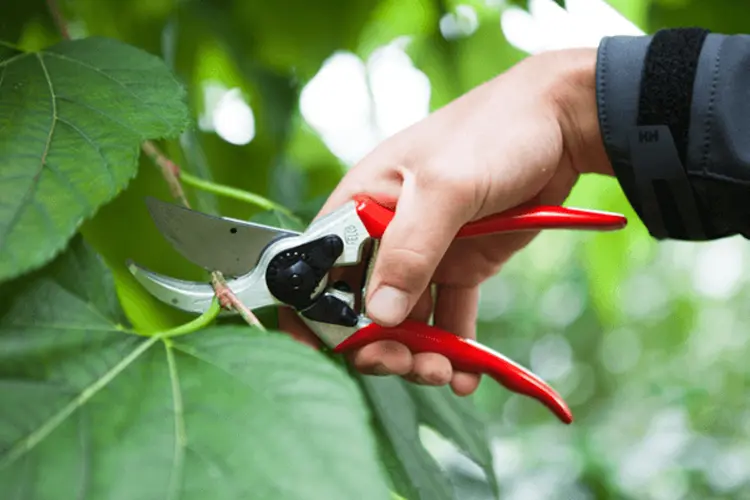 De kracht van klassiek én modern tuingereedschap voor tuinliefhebbers en professionals