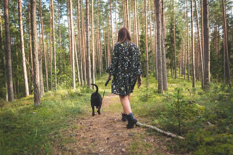 Bewuste Wandelingen: De Beste Wandelroutes in en rond Purmerend