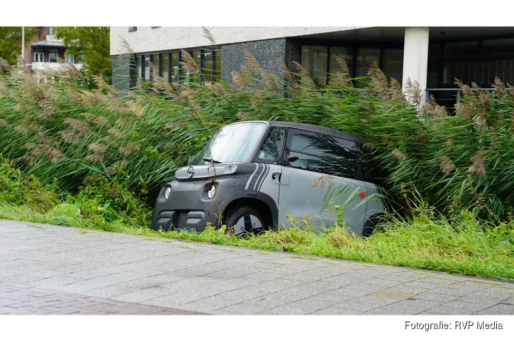 Brommobiel belandt in riet