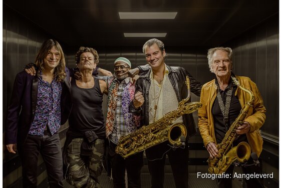 Hans Dulfer viert jubileum in De Rijp