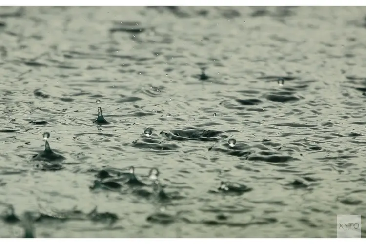 Nieuwe waterbeelden helpen maatregelen tegen overlast bepalen