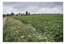 € 21 miljoen voor agrarisch natuurbeheer