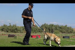 Integrale controle met honden levert drugs en gestolen fietsen op