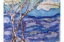 Schilder Joke Sweers brengt bij VVV ode aan het Nederlandse landschap