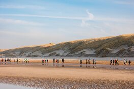 Een weekend vol wandelgeluk: 13.000 wandelaars genieten van 21e editie Hotel in Egmond Wandel Marathon