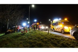 Bestelbus botst tegen boom op A7, bestuurder gewond